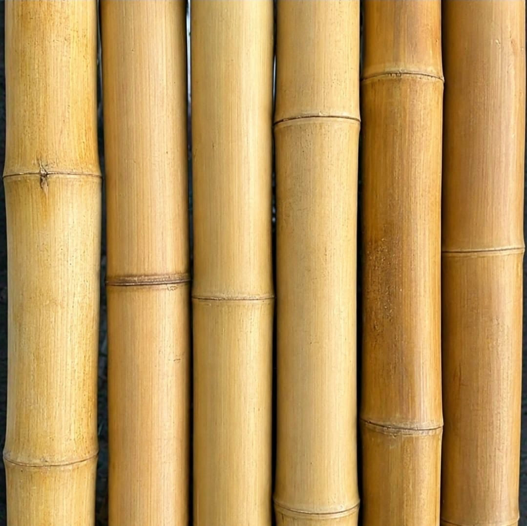 2"-3" Thick Bamboo Poles