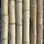2"-3" Thick Bamboo Poles -  10 1/2'